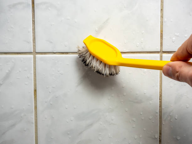 Best Black Mold Removal  in Goldsby, OK