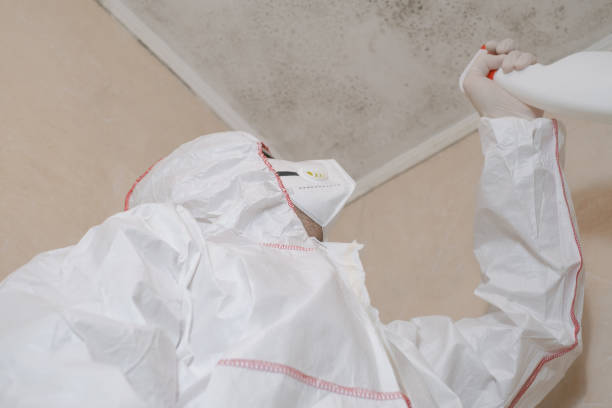 Best Professional Mold Removal  in Goldsby, OK