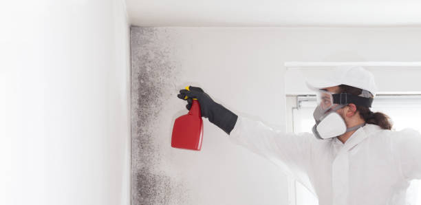 Best Residential Mold Removal  in Goldsby, OK