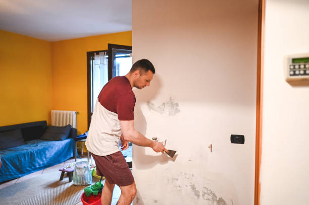 Best Mold Remediation  in Goldsby, OK