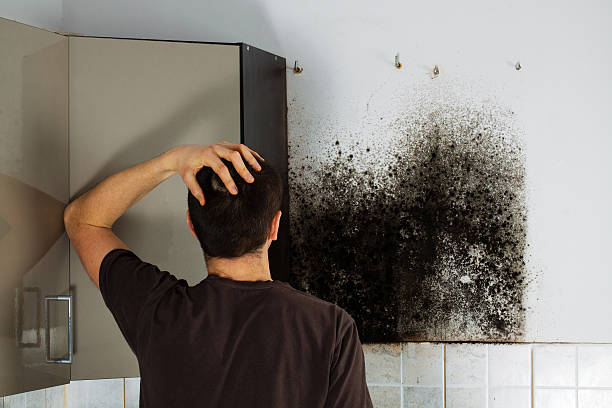 Best Mold Testing  in Goldsby, OK