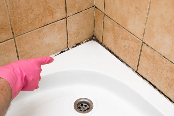 Best Mold Removal Company Near Me  in Goldsby, OK